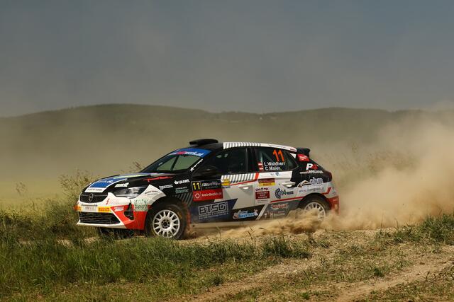 2WD-Sieger Luca Waldherr. | Foto: Harald Illmer