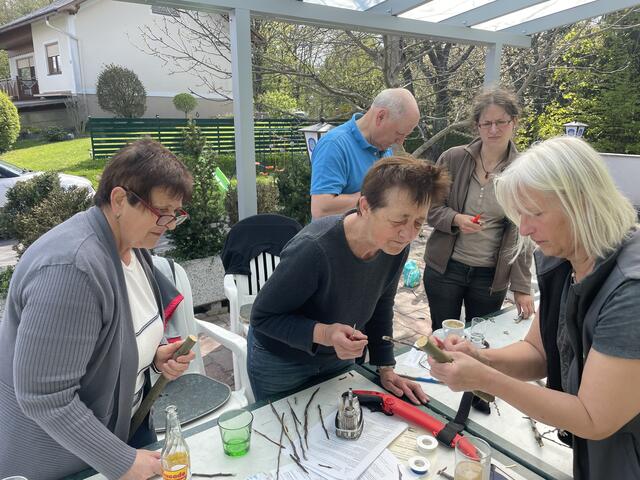 Brigitte Gerger (re.) zeigt wie man Obstbäume veredelt. | Foto: Wieseninitiative