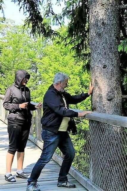 Auf dem Baumwipfelpfad | Foto: KK