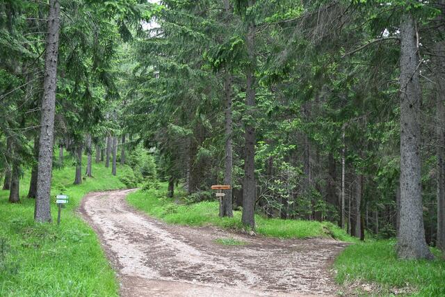 Am Forstweg gerade aus geht's direkt zur Pottschacher Hütte, rechts zur Kleewiese