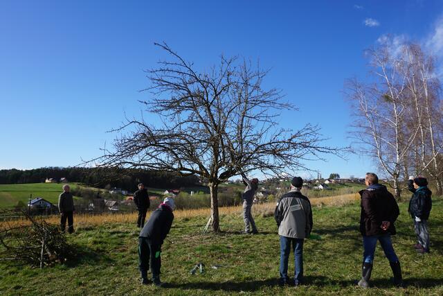 Foto: Wieseninitiative