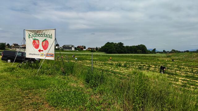 ERDBEERLAND KALSDORF
Triester Straße,  Zufahrt Wehrweg Cafe Leo