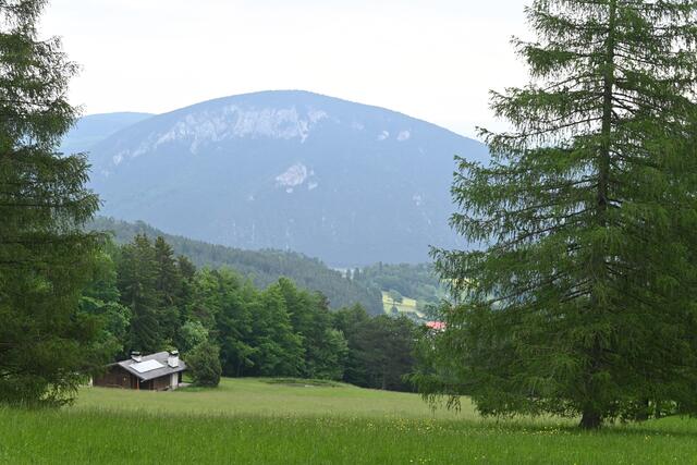 Blick auf Wiese, Jagdhaus und Gösing von oben