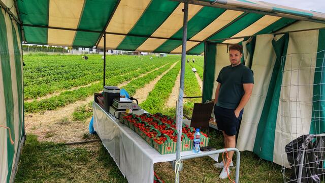 ERDBEERLAND HAUSMANNSTÄTTEN
an der L371, Höhe Paula-Groggerweg, vis a vis Autohaus Prügger