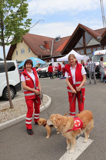 Foto: Edith Ertl