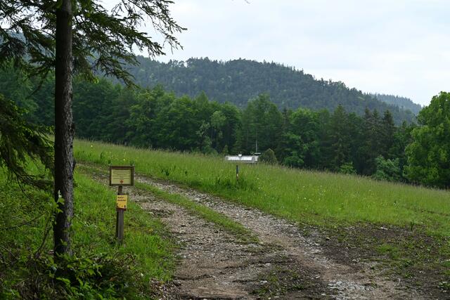 Weg am Beginn der Kleewiese