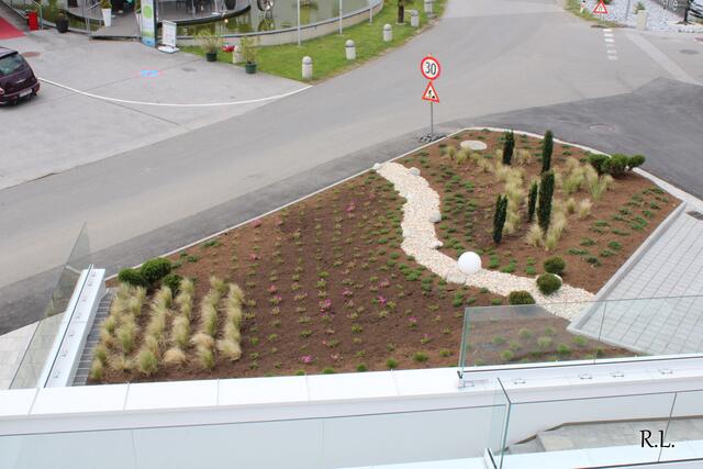 Foto: Lederer