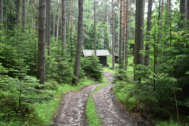 Private Hütte mitten im Wald