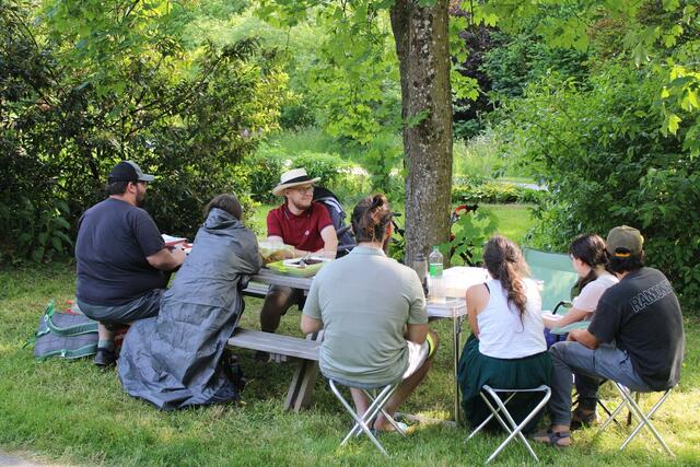 Das nächste "Politische Picknick" der KPÖ soll am 25. Juni um 15 Uhr im Rieder Stadtpark stattfinden. | Foto: Kommunistische Partei Ried 