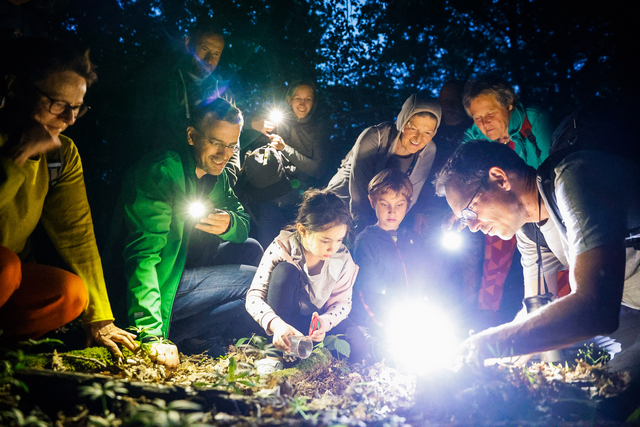 Vier Gruppen mit rund 80 Erwachsenen und 22 Kindern begaben sich gemeinsam mit ExpertInnen auf Nachtexpedition - die TeilnehmerInnen wurden mit zahlreichen Fledermaus-Sichtungen belohnt. | Foto: BPWW/N. Novak