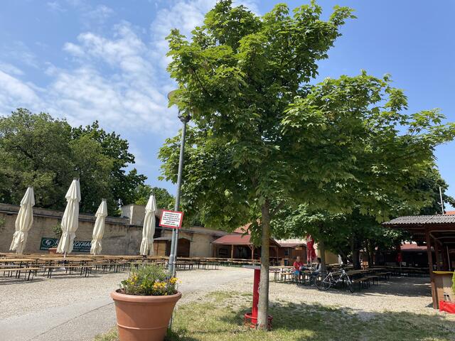 Foto: Karina Stuhlpfarrer