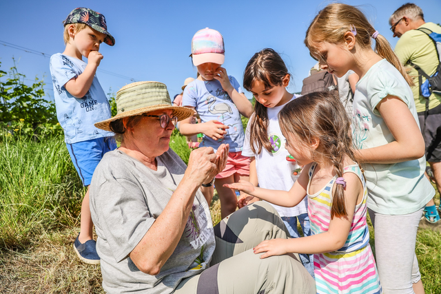 Beim Fest der Artenvielfalt am 3. Juni gab es für Kinder eine gut besuchte Naturführung zum Thema "Lebewesen in Wiese und Weingarten". | Foto: BPWW/N. Novak