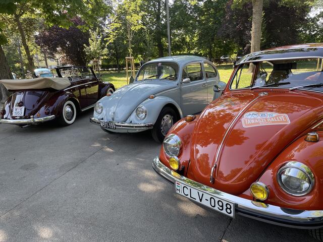 Oldtimer bei Musik im Park in Traiskirchen 2023 | Foto: Katrin Pirzl