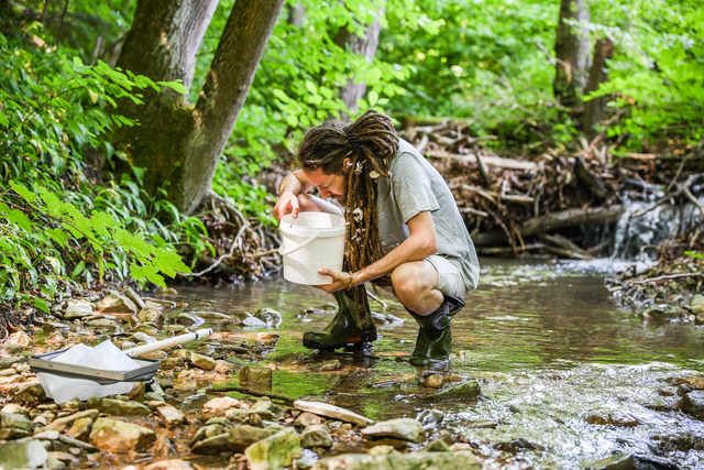 Bis Samstagnachmittag, 3. Juni 2023 konnten die über 100 angereisten ExpertInnen 1.383 Arten in Klosterneuburg nachweisen. | Foto: BPWW/N. Novak