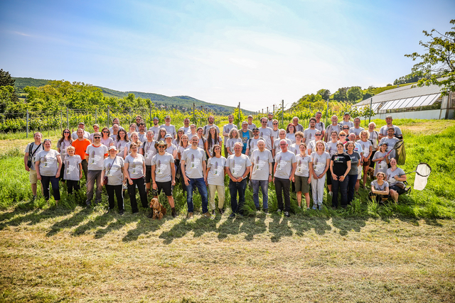 Über 100 ExpertInnen aus den verschiedensten Fachbereichen stellten sich beim Tag der Artenvielfalt 2023 in den Dienst der guten Sache und sammelten Daten für Forschung und Naturschutzarbeit im Biosphärenpark Wienerwald. | Foto: BPWW/N. Novak