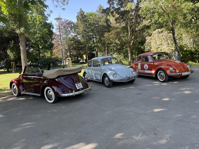 Oldtimer bei Musik im Park in Traiskirchen 2023 | Foto: Katrin Pirzl