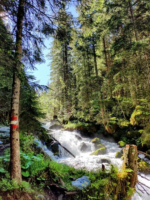 Wasser ist das bestimmende Element im Talschluss von Hüttschlag.  | Foto: Stefanie Ruep