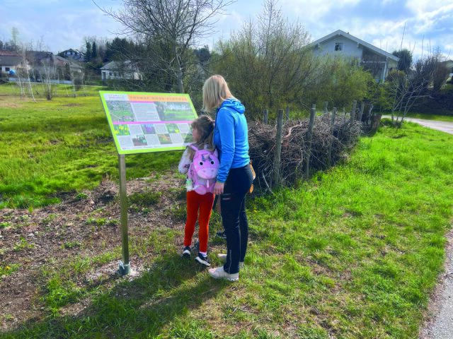 Mit dem Projekt „Revitalisierung Tonhof Moor“ wurde wertvoller Lebensraum wiederhergestellt. | Foto: Marktgemeinde Maria Saal
