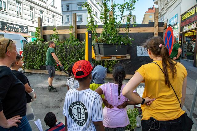 Wilder Wein soll den Baustellenzaun überwachsen.
 | Foto: Wiener Linien/Robert Peres