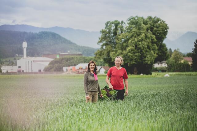 Patricia und Wolfgang Lerchster, Gemüsebauern in Klagenfurt | Foto: hofgemacht.at