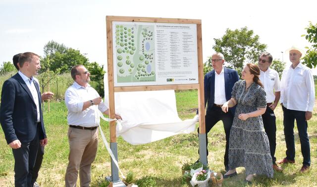 BH Karl Josef Weiss Enthüllung der Baumpflanztafel | Foto: Herbert Schleich