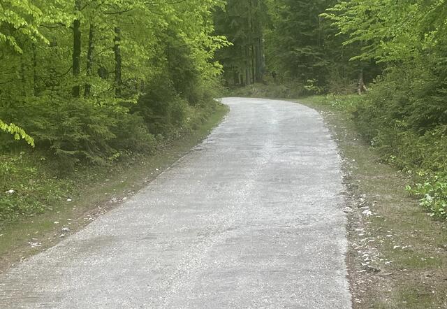 Der Beginn der betonierten Straße auf den Monte Lussari bei Valbruna in der Nähe von Tarvis. | Foto: MeinBezirk.at