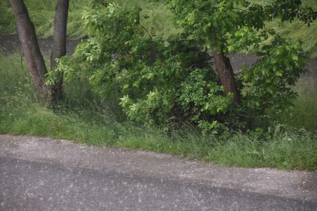 Foto: Michael Strini