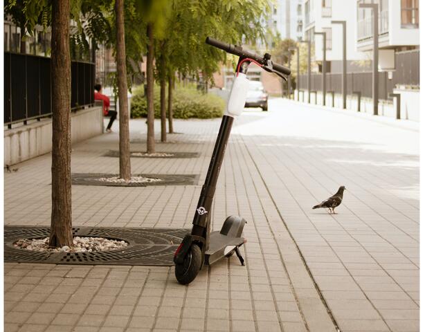 Foto: Sicheres Wissen