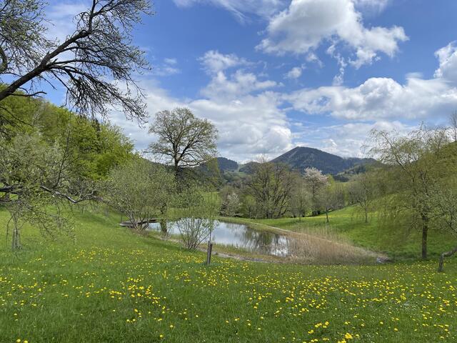 Der große Pielachtaler Rundwanderweg | Foto: Martina Schweller