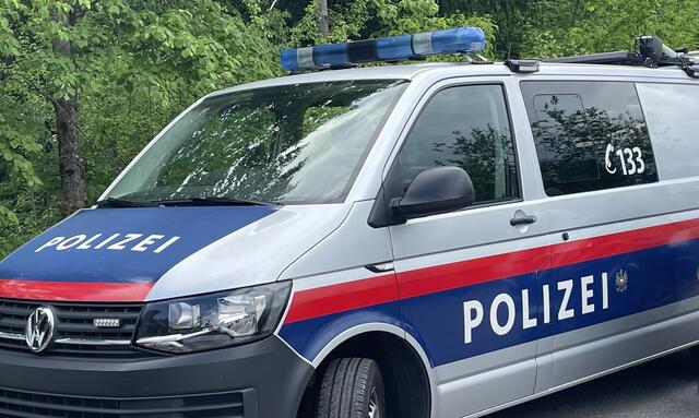 Die Polizei konnte zwei Diebe fassen. | Foto: Woche Kärnten/Symbolfoto
