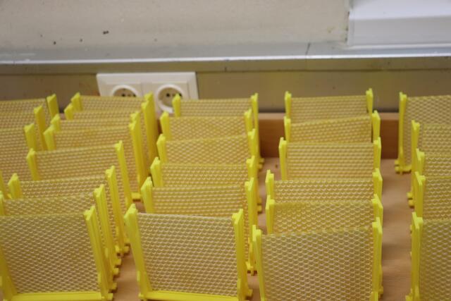 Exakt zugeschnitten. die Waben passen in die Rähmchen. In den Zellen wird künftig der Bienennachwuchs heranwachsen.  | Foto: Edith Ertl