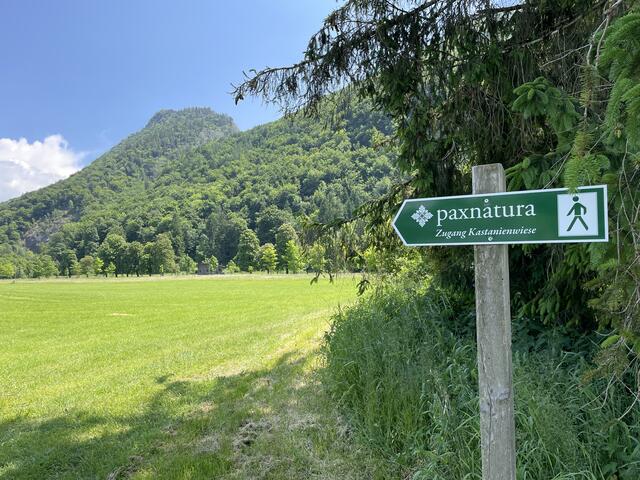 Das Schild weist den Weg zum Naturfriedhof. | Foto: sm