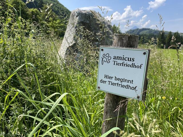 Der Tierfriedhof liegt gleich anliegend bei der Kastanienwiese. | Foto: sm