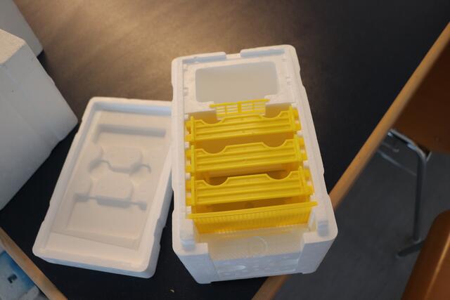 So sieht das Innenleben der Bienenzuchtkästen aus. Die Boxen sind transportfähig für den Hochzeitsflug der Bienenkönigin.  | Foto: Edith Ertl