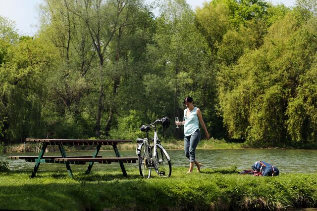 Neben baden eignet sich der See auch für Spaziergänge gut. | Foto: weinfranz.at