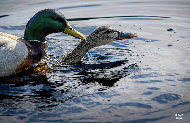 ......hehehe,was hast du mit mir vor ......