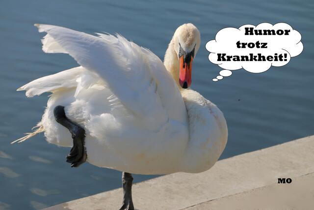 Lustige Kurzgeschichte, Humor trotz Krankheit!