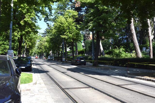 Die Pötzleinsdorfer Allee ist kurz vor ihrer Fertigstellung. Wir geben nochmal einen Überblick, wie es zu der sanierten Allee gekommen ist. | Foto: BV18