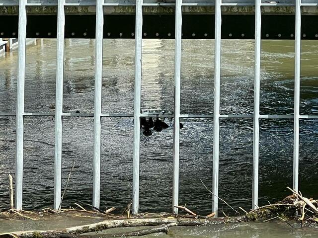 Foto: Freiwillige Feuerwehr Arnoldstein