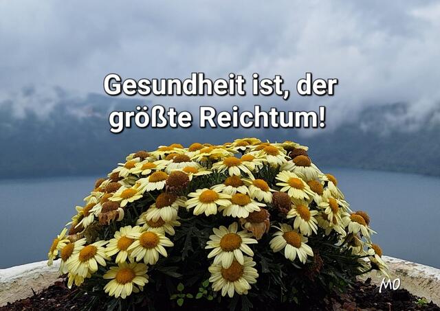 Gesundheit ist, der größte Reichtum! 