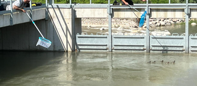 Foto: Freiwillige Feuerwehr Arnoldstein