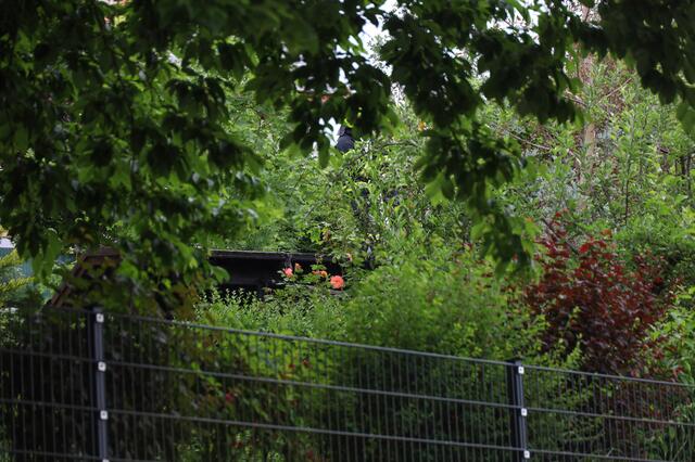 Foto: laumat.at/Matthias Lauber