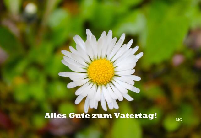 Alles Gute zum Vatertag, Spruch