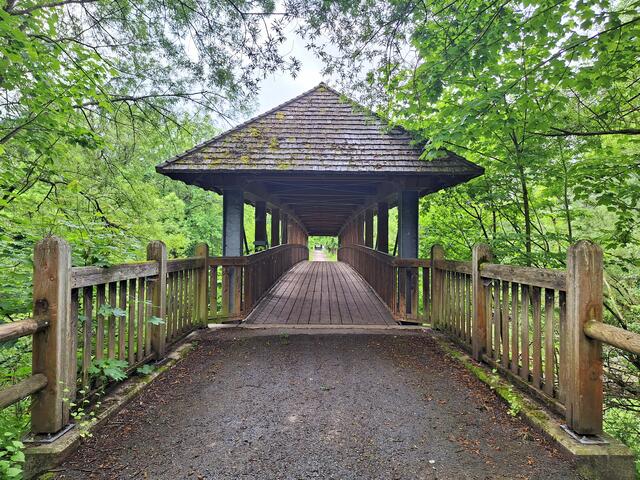 über diese Holzbrücke, vis a vis vom Feistritz-Schlosseingang gelangt man in die Au