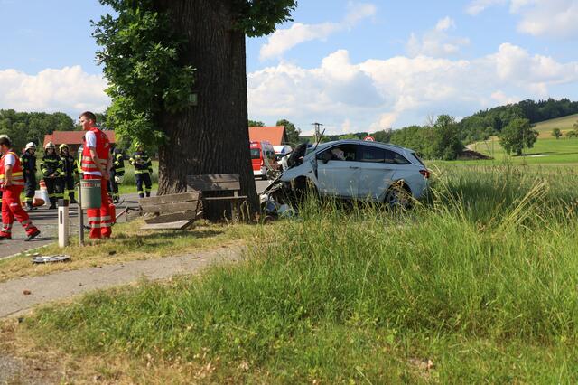 Foto: laumat.at/Matthias Lauber