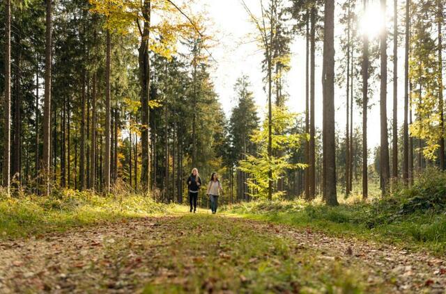 Foto: Waldviertel Tourismus/ Studio Kerschbaum
