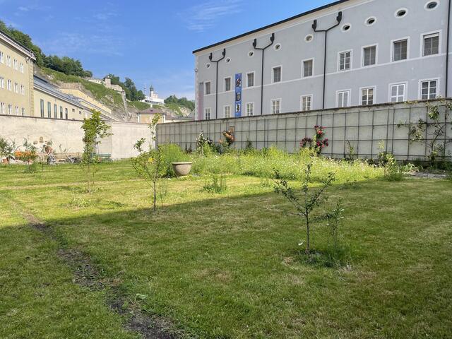 Der Klostergarten der Franziskaner | Foto: Lisa Gold