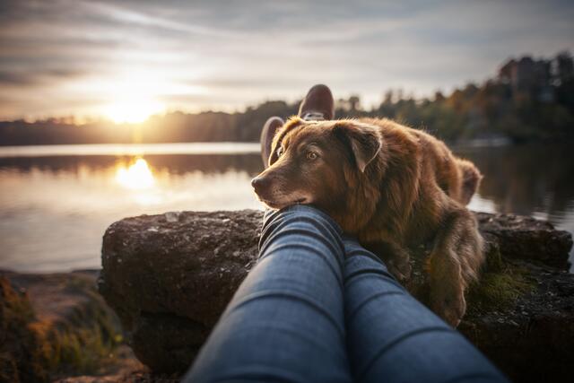 Foto: Anne Geier Fotografie