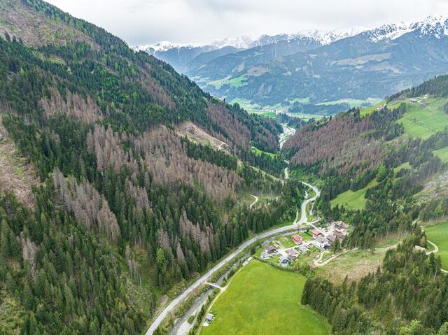 Große Schäden am Schutzwald etwa in Außervillgraten mit Blick auf Sillianberg/Heinfels.  | Foto: © Land Tirol