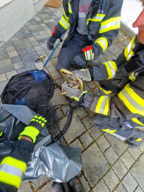 Vier Einsatzkräfte standen im Einsatz. | Foto: Hermann Kollinger
